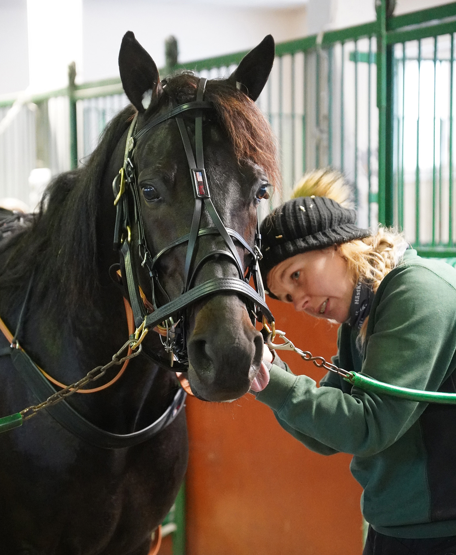 Horrendous Vulcano 251119-5